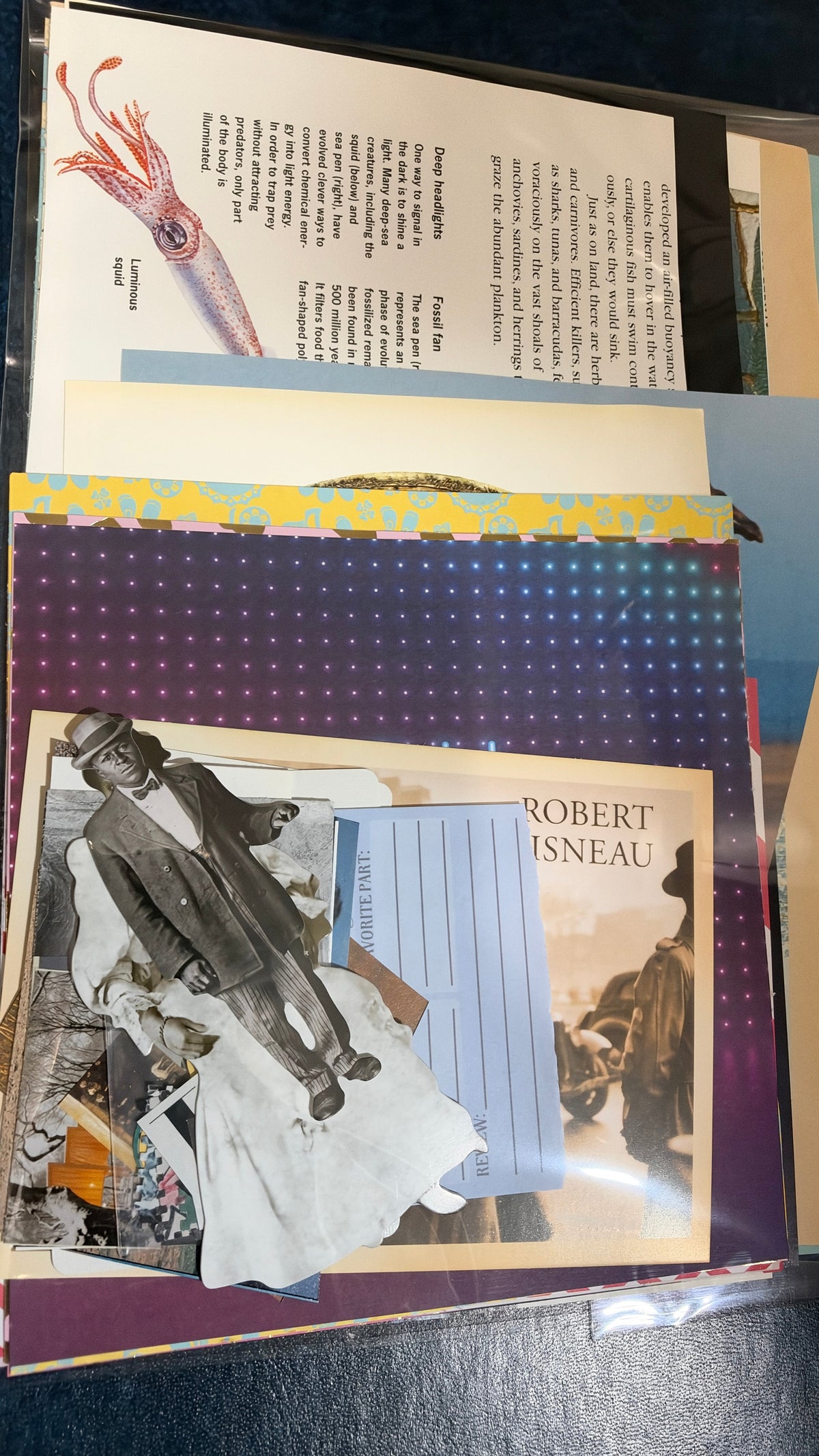 Collaging/Junk journal scrap pack (30+ pieces)