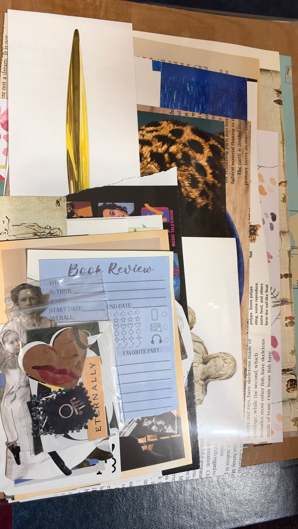 Collaging/Junk journal scrap pack (40+ pieces)